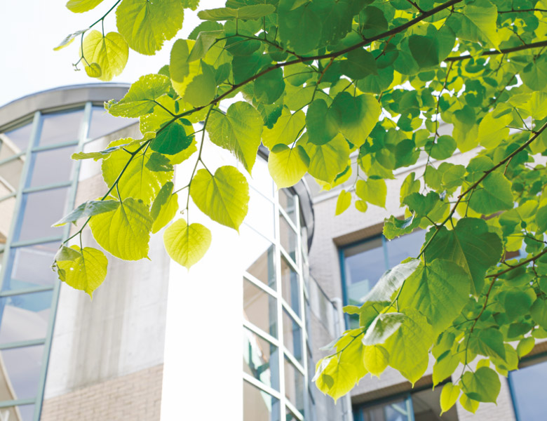 高校・中学・小学校 学校案内