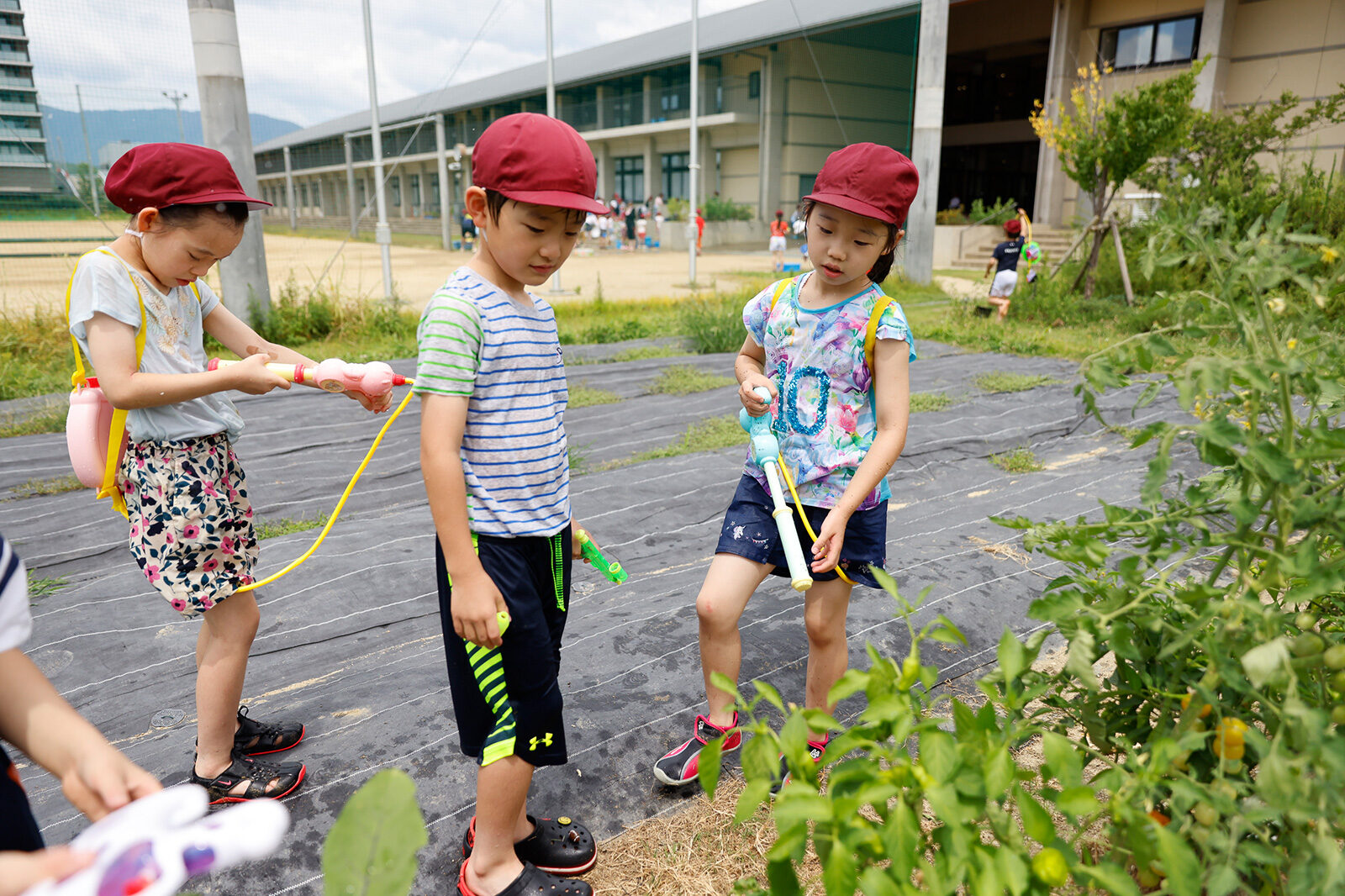 2021 小学2年生 特別学習