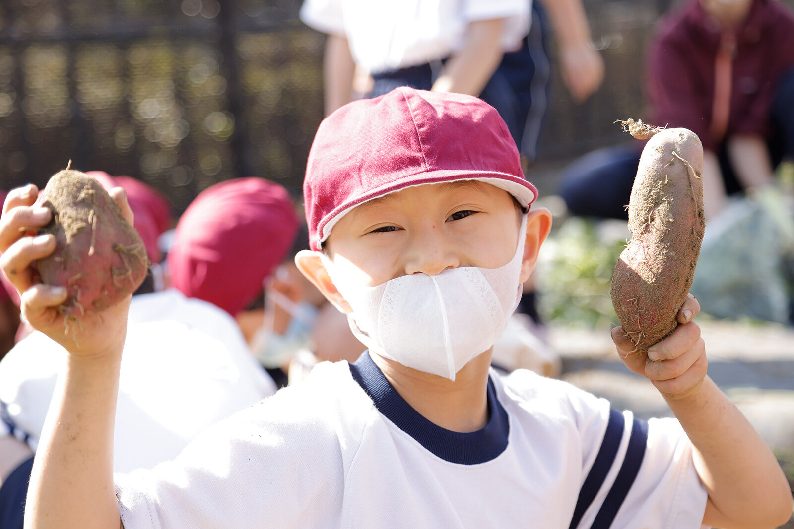 2021 小学1年生　サツマイモ掘り