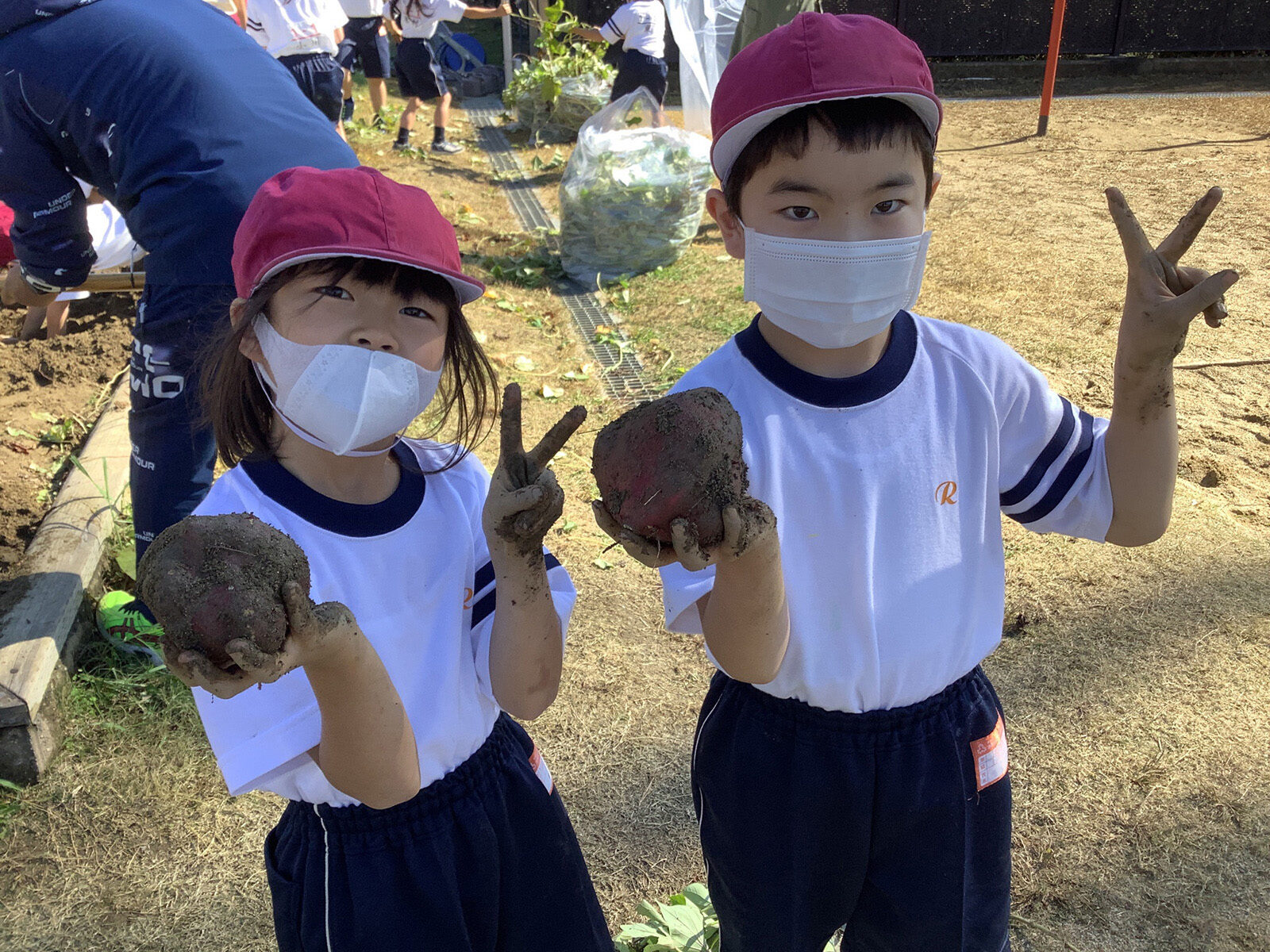 2022 小学1年生　芋掘り