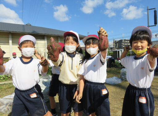 2022 小学1年生　芋掘り