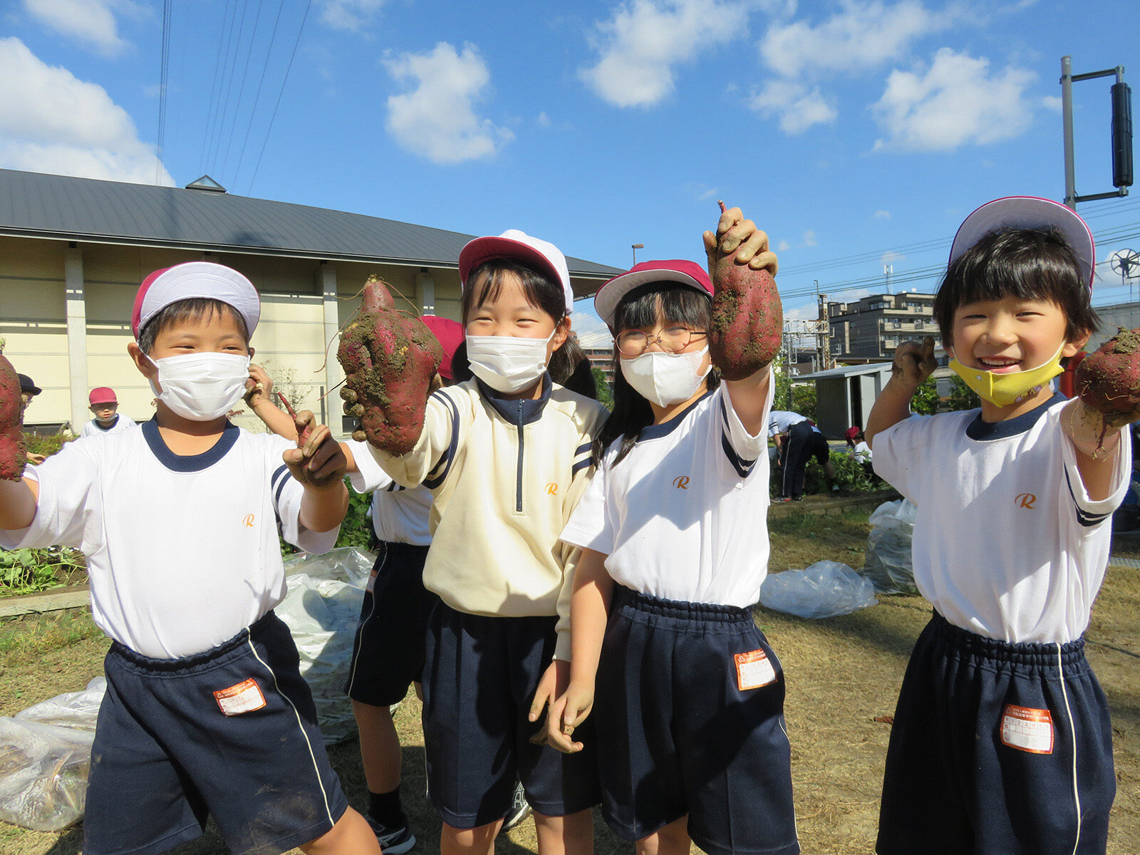 2022 小学1年生　芋掘り