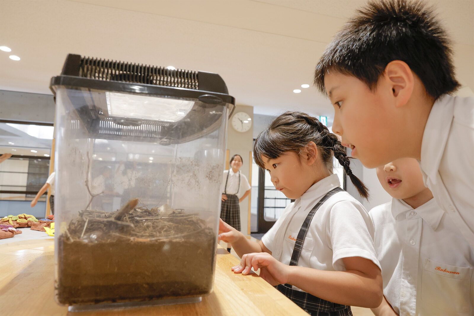 2025 小学校　授業参観